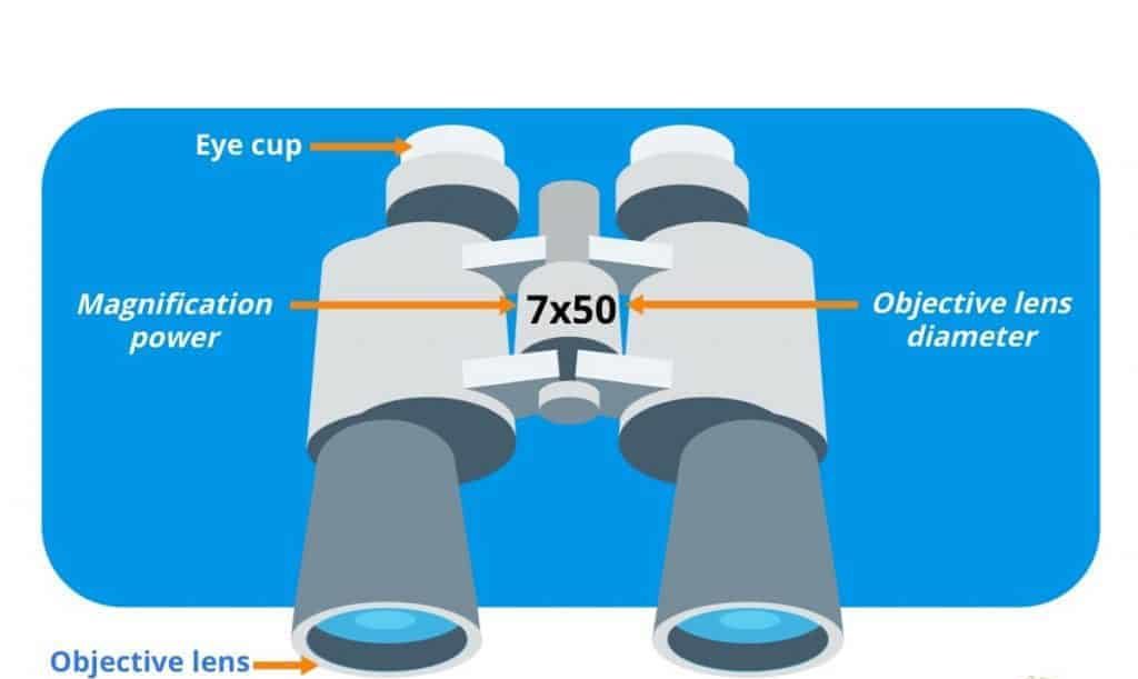 diagram explaining numbers for binoculars