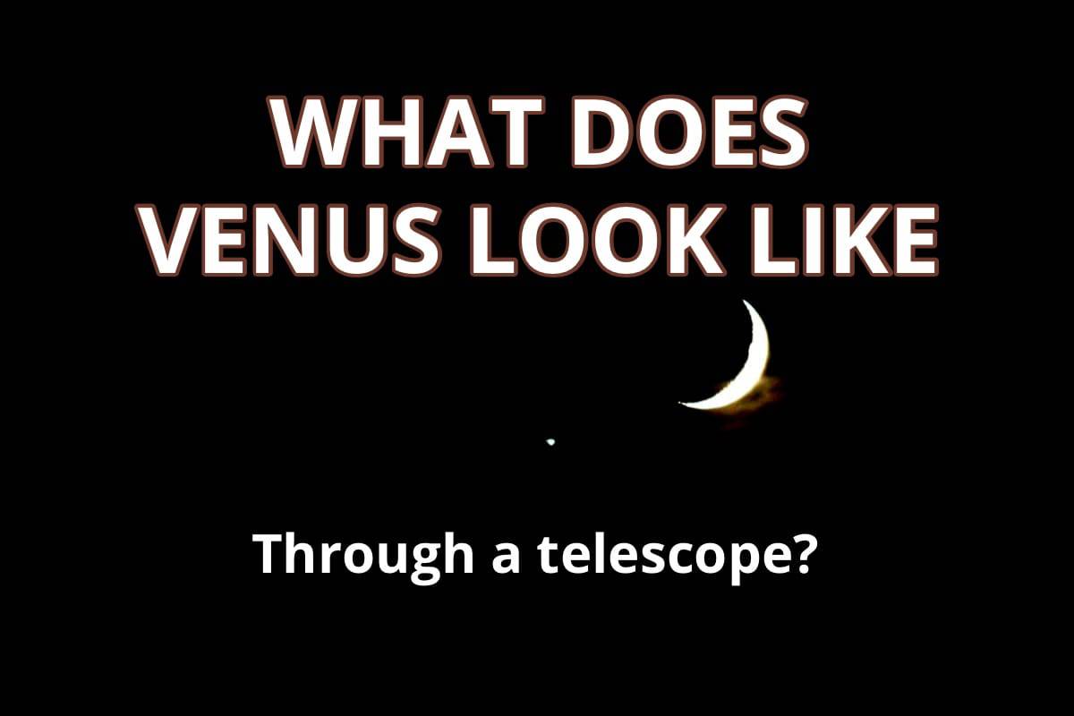 what does Venus look lije